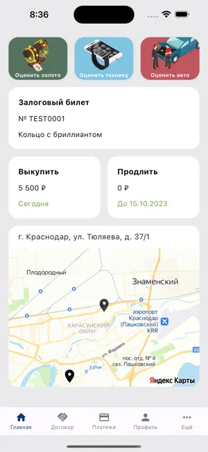 Application for the Pawnshop